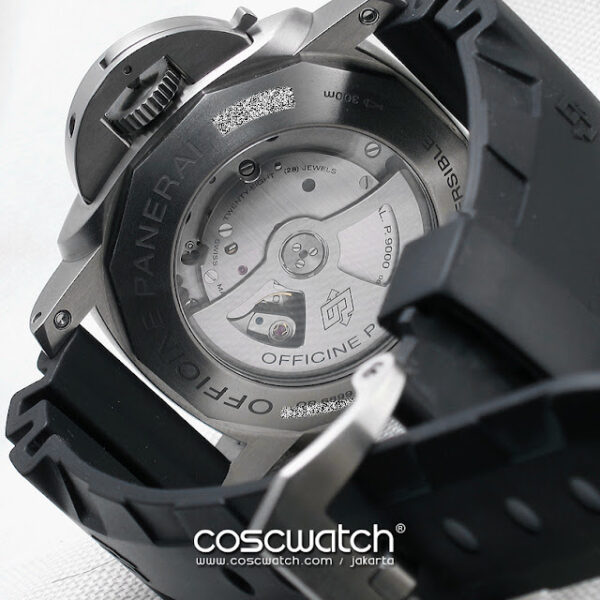 pam305 back