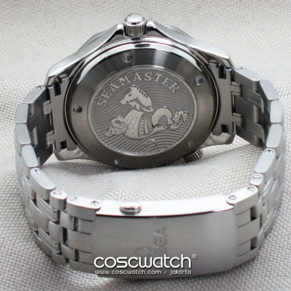Omega Seamaster Diver 300M Co-Axial Black Dial Ceramic Bezel 41